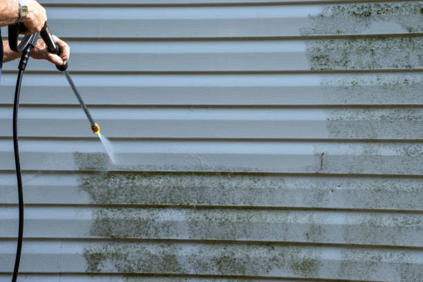 Best Siding Replacement  in Mulberry, NC